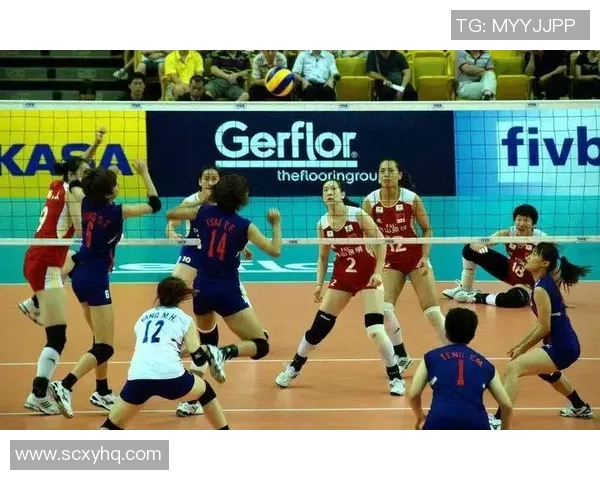 广州排球队整体压制战术解析与未来发展展望